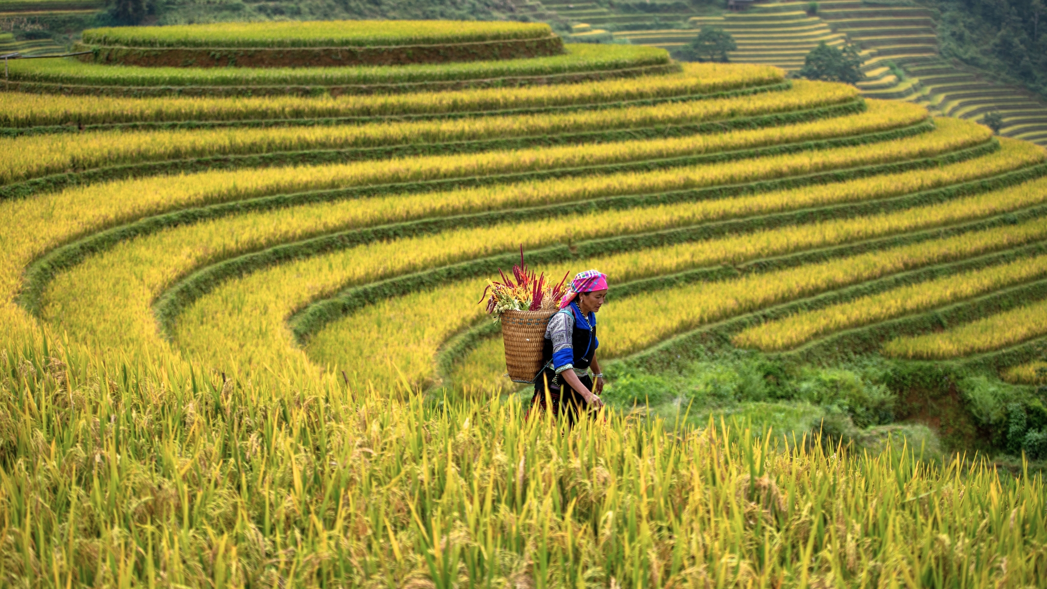 Hidden Trails of Northeast Vietnam