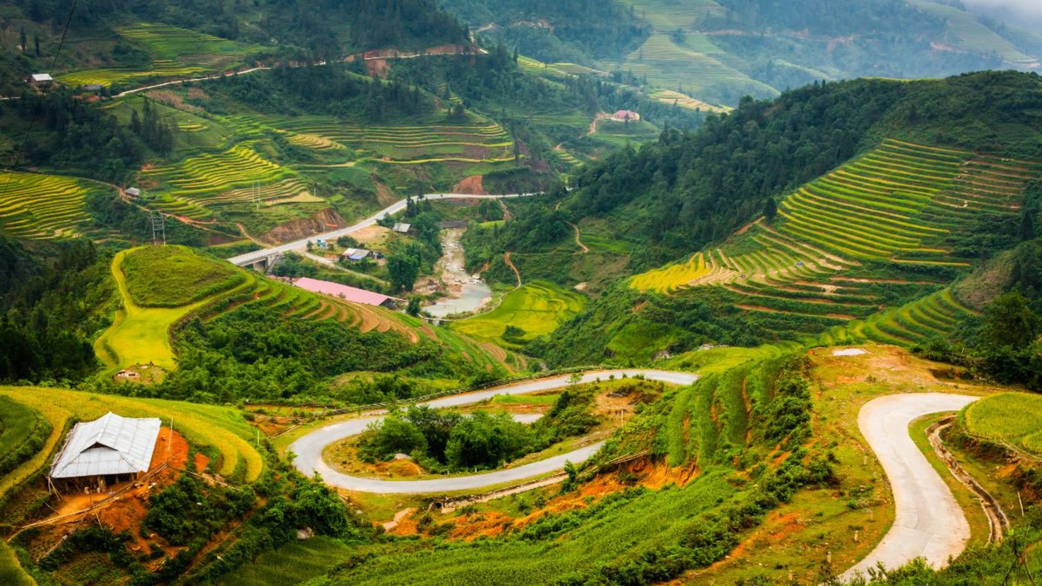 Sapa Rice Fields & Homestay Trek